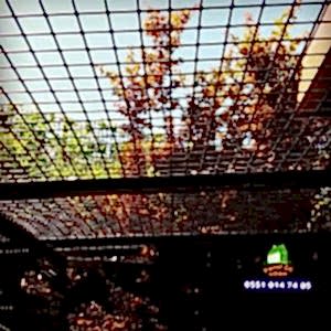 köpek için panel çit