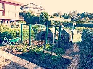 Tel Çit Köpek Kulübesi